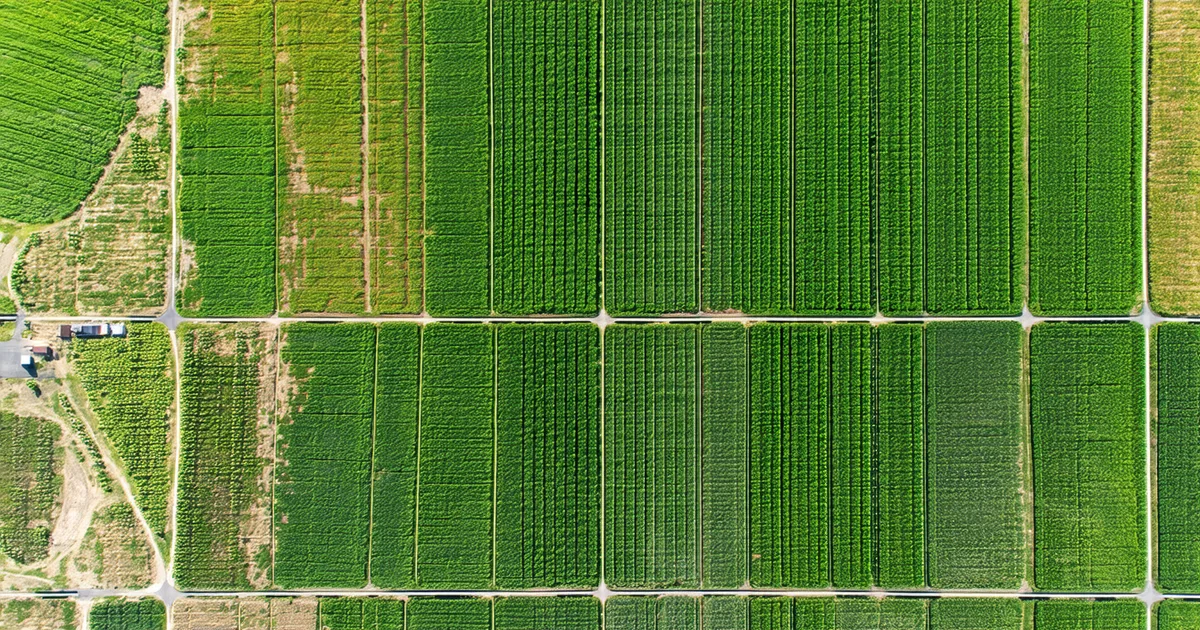 Aerial view of agricultural fields with precise GIS field boundary lines overlaid on satellite imagery