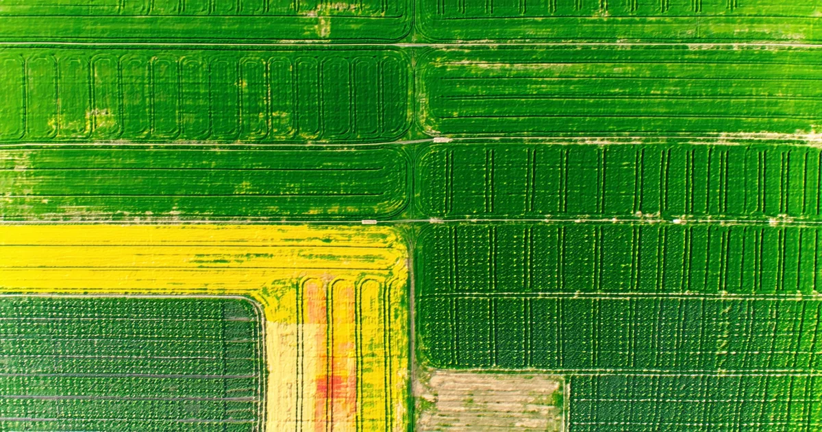 False-color satellite NDVI map showing crop health variation across agricultural fields