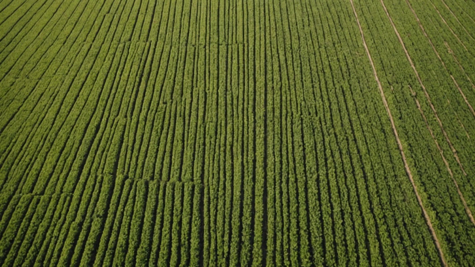 What Satellite NDVI Actually Tells You About Yield — and What It Doesn't