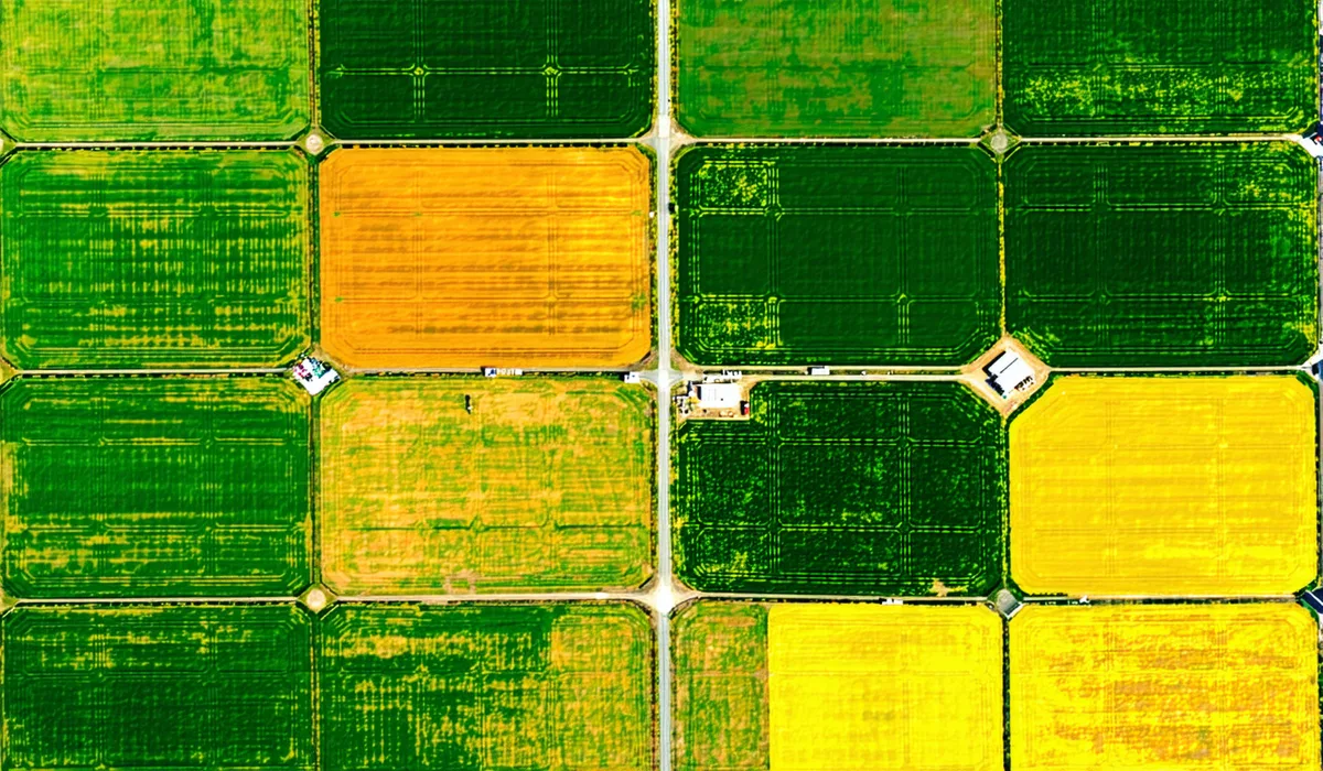 Multispectral satellite image of row-crop fields showing NDVI color gradient from red stressed areas to dark green healthy canopy